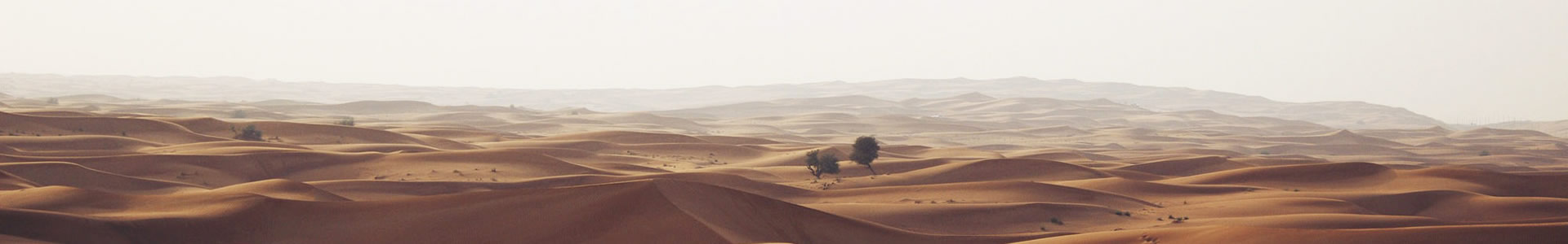 ɽﻷ޹˾